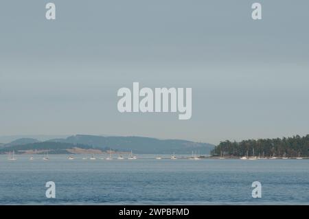 Segelboote und Freizeitboote machen eine optische Illusion auf den Gulf Islands BC in der Nähe von Sidney Canada Stockfoto