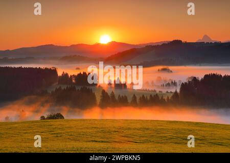 Blick auf das Rothenthurm Hochmoor bei Sonnenaufgang, Schweiz, Schwyz Stockfoto