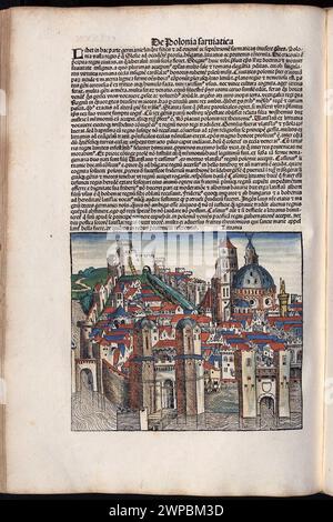 Schöne Holzschnittseiten aus der Nürnberger Chronik von 1493, die eine Enzyklopädie über Weltereignisse, Mythologie und christliche Geschichte ist. Dieses außergewöhnliche Werk war eines der frühesten Bücher, die jemals gedruckt wurden und das erste, das erfolgreich Text und Bilder integriert. Diese Seiten zeigen lateinischen Text und einen Stich Litauens Stockfoto