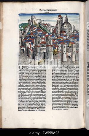 Schöne Holzschnittseiten aus der Nürnberger Chronik von 1493, die eine Enzyklopädie über Weltereignisse, Mythologie und christliche Geschichte ist. Dieses außergewöhnliche Werk war eines der frühesten Bücher, die jemals gedruckt wurden und das erste, das erfolgreich Text und Bilder integriert. Diese Seiten zeigen lateinischen Text und einen Stich der Stadt Padua in Italien Stockfoto