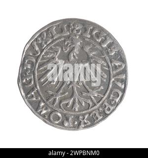 Ein litauischer Pfennig aus dem Jahr 1557, geprägt während der Regierungszeit von Zygmunt II. August, mit königlichen Porträts und typischen Münzelementen aus der Mitte des 16. Jahrhunderts. Stockfoto