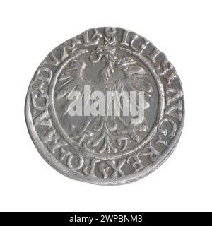 Litauischer Penny; Zygmunt II. August (polnischer König; 1544-1572); 1559 (1545-00-00-1545-00); Stockfoto