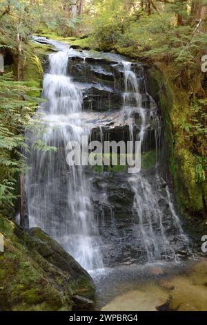 Ein unberührter Wasserfall an einem Bach in einem dichten gemäßigten Regenwald in der Great Bear Rainforest Region an der Central Coast von British Columbia, Kanada. Stockfoto