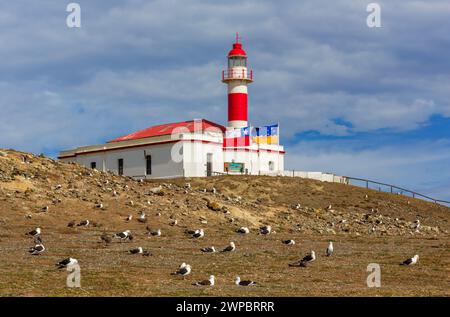 Magdalena Island Lighthouse, Magellan Strait, Magallanes Region, Chile, Südamerika Stockfoto