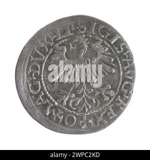 Litauischer Penny; Zygmunt II. August (polnischer König; 1544-1572); 1561 (1561-00-00-1561-00); Stockfoto