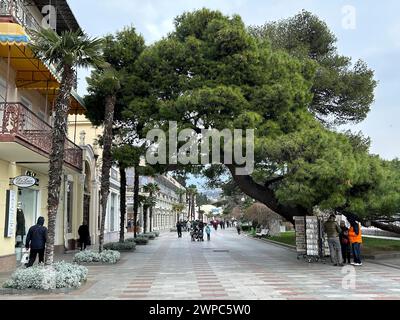 Jalta. Februar 2024. Man spaziert entlang der Promenade im Badeort, der mit seinem subtropischen Klima auch in den kälteren Monaten des Jahres Touristen aus Russland anzieht. Quelle: Ulf Mauder/dpa/Alamy Live News Stockfoto