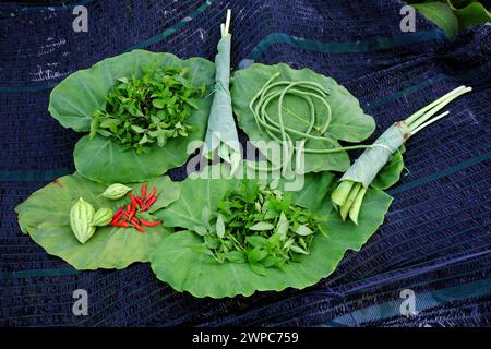 Landwirtschaftsprodukt aus Dachgarten durch ökologischen Landbau mit eingewickelten Blättern in Ho Chi Minh City, grünem Gemüse und rotem Chili auf weißem B Stockfoto