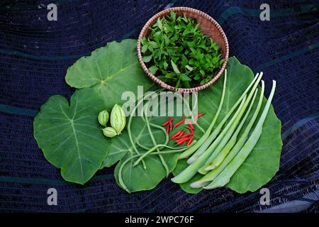 Landwirtschaftsprodukt aus Dachgarten durch ökologischen Landbau mit eingewickelten Blättern in Ho Chi Minh City, grünem Gemüse und rotem Chili auf weißem B Stockfoto