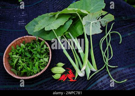 Landwirtschaftsprodukt aus Dachgarten durch ökologischen Landbau mit eingewickelten Blättern in Ho Chi Minh City, grünem Gemüse und rotem Chili auf weißem B Stockfoto