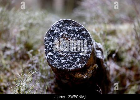 Stapel oder Stapel aus Blöcken, Holzstücken oder Holzstämmen im Winter oder Frühjahr mit Schnee. Stockfoto