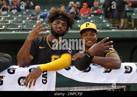 Sarasota FL USA; Pittsburgh Pirates Shortstop Liover Peguero (31) und zweiter Baseman Termarr Johnson (81) im Dugout vor einem MLB-Frühjahrstrainer Stockfoto