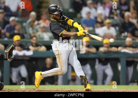 Sarasota FL USA; Pittsburgh Pirates Shortstop Liover Peguero (31) spielt beim MLB-Frühjahrstraining gegen die Baltimore Oriol im Einzelspiel auf dem linken Feld Stockfoto