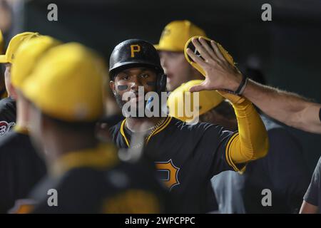 Sarasota FL USA; Pittsburgh Pirates Shortstop Liover Peguero (31) wird im Dugout gratuliert, nachdem er während eines MLB-Frühjahrstraining-Spiels Agai erzielt hat Stockfoto