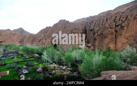 Wunderschöne Landschaften in Dadès Gorges in Marokko. Stockfoto