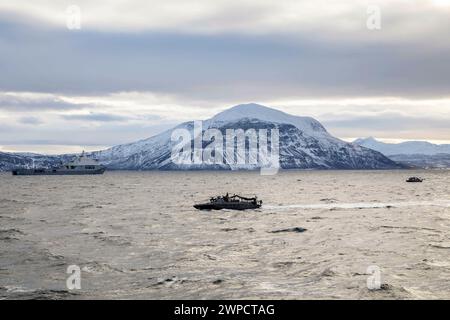 28. Februar 2024 – Norwegische See – zwei schwedische Schnellangriffsboote der CB90-Klasse durchqueren die Wasserstraße des Andfjorden, um die Operation mit dem Dock-Landungsschiff USS Gunston Hall (LSD 44) der Whidbey-Island-Klasse vorzubereiten, während sie während des standhaften Verteidigers am 28. Februar 2024 in die NATO-Streitkräfte integriert wurden. Die NATO unterhält eine langjährige Partnerschaft mit Schweden, ähnlich wie ihre vorherige Zusammenarbeit mit Finnland vor dem Beitritt; ihre Beteiligung stärkt die Stärke und Sicherheit aller Mitgliedsstaaten und zeigt, dass die Türen der NATO offen bleiben. Standhafter Verteidiger 2024, die größte Übung der NATO Stockfoto