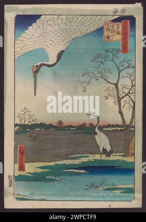 Experimentelle Publikation „Nurara: Mersa, 322“, die wissenschaftliche oder technische Forschungsdaten dokumentiert und experimentelle Methodik und Berichterstattung des frühen 20. Jahrhunderts veranschaulicht. Stockfoto