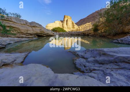 Blick auf die Zohar-Festung mit einer Winterpfütze, die Judaeische Wüste (Küste vom Toten Meer), das südliche Israel Stockfoto