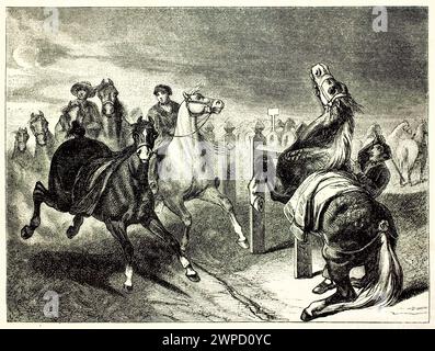 Gravierte Illustration einer Pferdemarktszene mit dynamischen Figuren. Von Giroux und Banchard, veröffentlicht in Magasin Pittoresque, Paris, 1852. Stockfoto