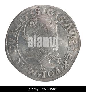 Litauischer Pfennig auf Halt Litauisch; Zygmunt II August (polnischer König; 1544-1572); 1555 (1545-00-00-1545-00-00); Stockfoto