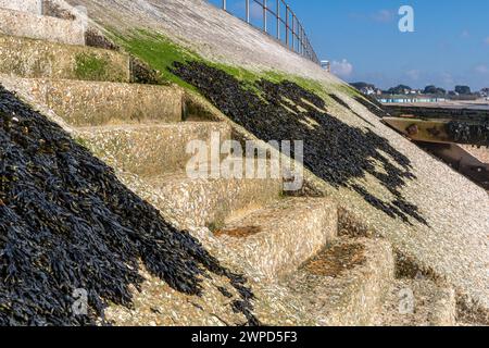 Stufen in der Meeresmauer, die vom Strand zur Straße bei Hill Head in der Nähe von Titchfield, Hampshire, England, Großbritannien, mit Algen und blauem Himmel führt Stockfoto