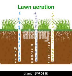 Rasenbelüftung. Konzept der Gartenrasenpflege, Landschaftsgestaltung, Rasenrasenpflege. Infografiken zur Rasenbelüftung. Sauerstoff Wasser und Nährstoffe für das Rasenwachstum. Stock Vektor