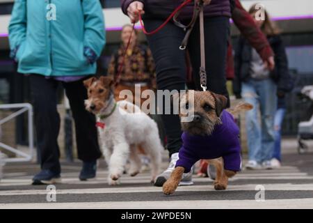 Hunde und Besitzer kommen am ersten Tag der Crufts Dog Show im National ...