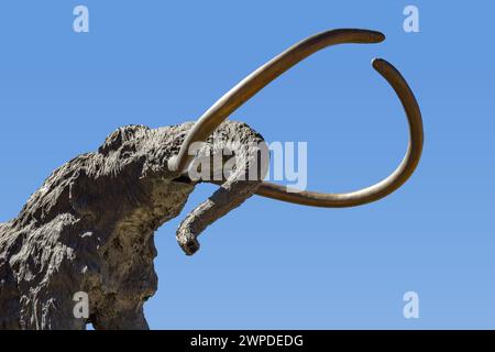 Eine Wollmammutskulptur mit offenem Mund und langem Stoßzähn Stockfoto
