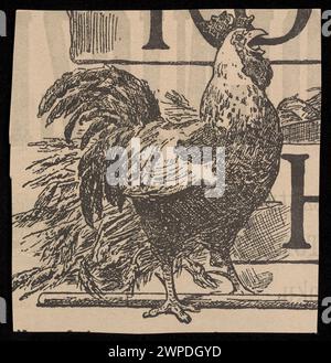 Hahn-Illustration aus dem Agricultural Encyclopedia Prospekt, gedruckt von Karol Kowalewski in Warschau um 1890, zeigt die Anatomie der Vögel und die Darstellung des Bauernhofes. Stockfoto