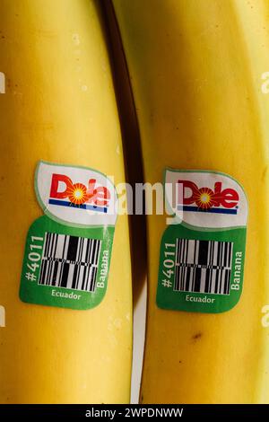 Zwei gelbe Dole Bananen mit PLU-Barcode-Aufkleber Stockfoto