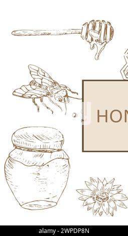 Skizze des Hintergrunds der Honigbiene und Honigprodukte. Vektor-Illustration kann für Verpackungspapier, Textil, Lebensmitteletikett, Druck für Bio-Honigprodu verwendet werden Stock Vektor