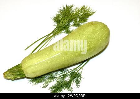 Eine grüne Zucchini, bereit zum Verzehr, liegt auf weißem Hintergrund. Stockfoto