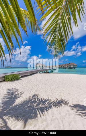 Fantastische Sommerlandschaft, tropische Natur Blick auf frische grüne Kokospalmen, blaues Meer als Luxus Tourismus Sommerurlaub Urlaub Hintergrund. Malediven Stockfoto