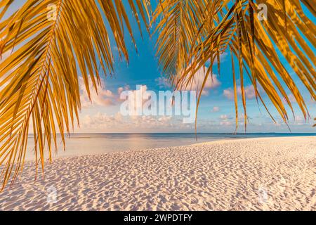 Entspannende tropische Meereslandschaft mit breitem Horizont des Sandhimmels. Farbenfrohe Dämmerung Sonnenuntergang Sonnenaufgang Wasserlandschaft mit Palmenblättern abstrakt Stockfoto