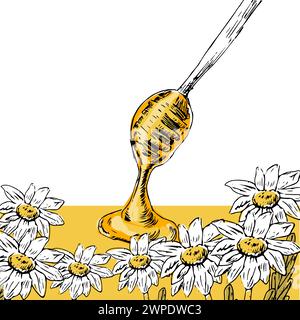 Honig und Blumen handgezeichnete Zeichnung in Farbe. Vektorillustration kann zum Einpacken von Papier, Etiketten, Poster, Karten verwendet werden. Gravur oder Ink Vektor Honig illu Stock Vektor