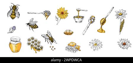 Honigset Skizzenbiene, Löffel, Glas, Wabenform mit gelben Farben. Vektorillustration kann für Verpackungspapier, Textil, Lebensmitteletiketten, Druck für org verwendet werden Stock Vektor