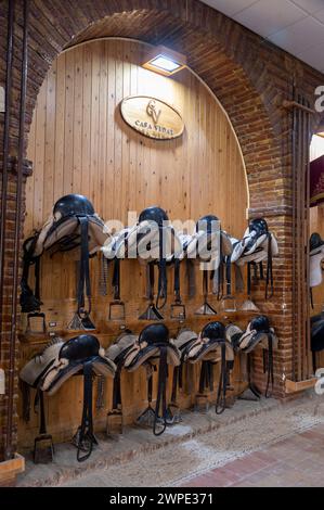 Las Caballerizas Reales de Cordoba (Königliche Ställe von Cordoba) in der historischen Stadt Cordoba in Andalusien, Südspanien Stockfoto