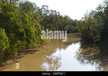 Der Balonne River führt durch Surat Queensland Australien Stockfoto