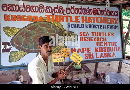 Sri Lanka; Angestellter vor dem Schildkrötenbrütschild in der Nähe des Strandes von Kosgoda. Stockfoto