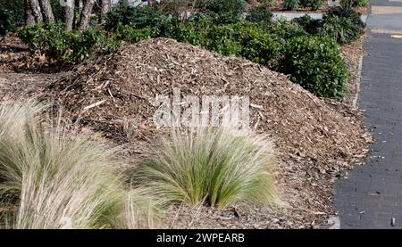 Holzschnitzel-Gartenmulch, Eastside City Park, Curzon Street, Birmingham, Großbritannien Stockfoto