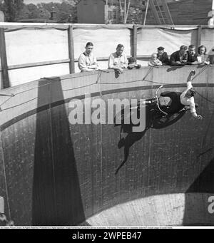 Mauer des Todes 1949. Die Mauer des Todes, das Motordrome, das Velodrome oder der Brunnen des Todes ist eine Nebenausstellung des Karnevals mit einem silos- oder tonnenförmigen Holzzylinder mit einem Durchmesser von normalerweise 6,1 bis 11,0 m (20 bis 36 Fuß) und aus Holzdielen, in der Motorradfahrer entlang der vertikalen Wand fahren und Stunts durchführen. durch Reibung und Zentrifugalkraft gehalten. Die ursprüngliche Mauer des Todes befand sich 1911 auf Coney Island in den Vereinigten Staaten. Ich habe mir einen Motorradfahrer in hoher Geschwindigkeit im Velodrome vorgestellt, der mit den Händen in der Luft zeigte, nicht wie er sollte am Lenker. Schweden 1949. Conard Stockfoto