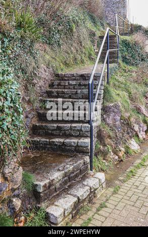 Steintreppen, die nach oben gegen ein Ufer wilder Sträucher führen, mit Handlauf, der zu einer großen Steinmauer ohne sichtbares Ziel führt Stockfoto