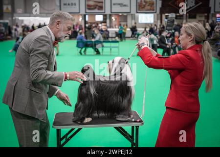 Birmingham, Großbritannien. März 2024. Crufts 2024: Tag 1 der weltberühmten Hundeshow im NEC in Birmingham. Mehr als 25.000 Hunde und 166.000 Fans werden während der dreitägigen Show besuchen, bevor Best in Show am letzten Tag ausgezeichnet wird. Guy Corbishley/Alamy Live News Stockfoto