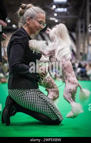 Birmingham, Großbritannien. März 2024. Crufts 2024: Tag 1 der weltberühmten Hundeshow im NEC in Birmingham. Mehr als 25.000 Hunde und 166.000 Fans werden während der dreitägigen Show besuchen, bevor Best in Show am letzten Tag ausgezeichnet wird. Guy Corbishley/Alamy Live News Stockfoto