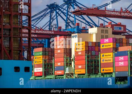 Magleby Maersk Container Frachter im EUROGATE Container Terminal, Waltershofer Hafen, gehört zu den größten Containerschiffen der Welt , Kapazität von 18.270 TEU, Triple E Klasse, HMM Nuri Containerfrachter, am HHLA Container Terminal Burchardkai, Kapazität von bis zu 16000 TEU, Hamburg, Deutschland Containerschiff *** Magleby Maersk Containerfrachter am EUROGATE Containerterminal, Waltershofer Hafen, ist eines der größten Containerschiffe der Welt, mit einer Kapazität von 18.270 TEU, Triple E Klasse, HMM Nuri Containerfrachter, am HHLA Containerterminal Burchardkai, Kapazität von bis zu 16000 TEU, H Stockfoto