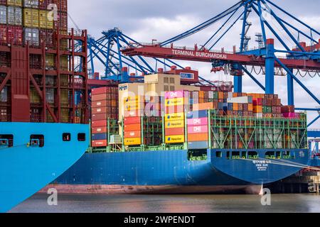 Magleby Maersk Container Frachter im EUROGATE Container Terminal, Waltershofer Hafen, gehört zu den größten Containerschiffen der Welt , Kapazität von 18.270 TEU, Triple E Klasse, HMM Nuri Containerfrachter, am HHLA Container Terminal Burchardkai, Kapazität von bis zu 16000 TEU, Hamburg, Deutschland Containerschiff *** Magleby Maersk Containerfrachter am EUROGATE Containerterminal, Waltershofer Hafen, ist eines der größten Containerschiffe der Welt, mit einer Kapazität von 18.270 TEU, Triple E Klasse, HMM Nuri Containerfrachter, am HHLA Containerterminal Burchardkai, Kapazität von bis zu 16000 TEU, H Stockfoto