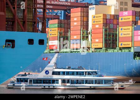 Hafenrundfahrt im Waltershofer Hafen, HHLA Containerterminal Burchardkai, HMM Nuri Containerfrachter, Containerschiff, Hamburg, Deutschland Containerschiff *** Hafenrundfahrt im Waltershofer Hafen, HHLA Containerterminal Burchardkai, HMM Nuri Containerfrachter, Containerschiff, Hamburg, Deutschland Containerschiff Stockfoto