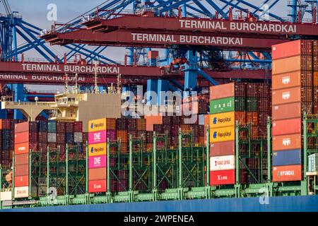 HMM Nuri Containerfrachter, am HHLA Containerterminal Burchardkai, im Waltershofer Hafen, wird beladen, Kapazität von bis zu 16000 TEU, Hamburg, Deutschland Containerschiff *** HMM Nuri Containerfrachter, am HHLA Containerterminal Burchardkai, im Waltershofer Hafen, geladen, Kapazität bis zu 16000 TEU, Hamburg, Deutschland Containerschiff Stockfoto