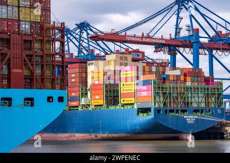 Magleby Maersk Container Frachter im EUROGATE Container Terminal, Waltershofer Hafen, gehört zu den größten Containerschiffen der Welt , Kapazität von 18.270 TEU, Triple E Klasse, HMM Nuri Containerfrachter, am HHLA Container Terminal Burchardkai, Kapazität von bis zu 16000 TEU, Hamburg, Deutschland Containerschiff *** Magleby Maersk Containerfrachter am EUROGATE Containerterminal, Waltershofer Hafen, ist eines der größten Containerschiffe der Welt, mit einer Kapazität von 18.270 TEU, Triple E Klasse, HMM Nuri Containerfrachter, am HHLA Containerterminal Burchardkai, Kapazität von bis zu 16000 TEU, H Stockfoto