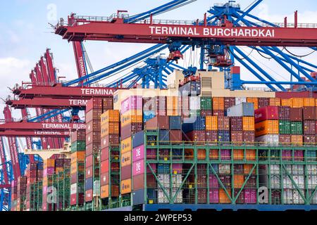 HMM Nuri Containerfrachter, am HHLA Containerterminal Burchardkai, im Waltershofer Hafen, wird beladen, Kapazität von bis zu 16000 TEU, Hamburg, Deutschland Containerschiff *** HMM Nuri Containerfrachter, am HHLA Containerterminal Burchardkai, im Waltershofer Hafen, geladen, Kapazität bis zu 16000 TEU, Hamburg, Deutschland Containerschiff Stockfoto