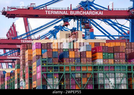 HMM Nuri Containerfrachter, am HHLA Containerterminal Burchardkai, im Waltershofer Hafen, wird beladen, Kapazität von bis zu 16000 TEU, Hamburg, Deutschland Containerschiff *** HMM Nuri Containerfrachter, am HHLA Containerterminal Burchardkai, im Waltershofer Hafen, geladen, Kapazität bis zu 16000 TEU, Hamburg, Deutschland Containerschiff Stockfoto